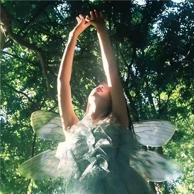 我的朋友陈白露小姐